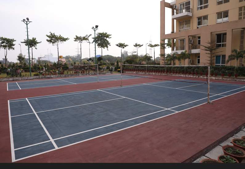  the views Badminton Court