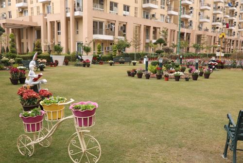 Landscape Garden and Tree Planting the-views Landscape Garden and Tree Planting