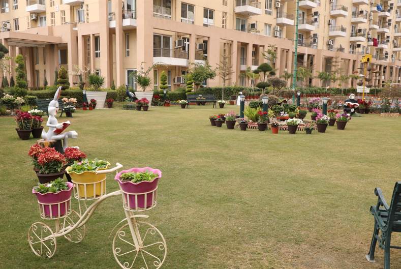  the views Landscape Garden and Tree Planting