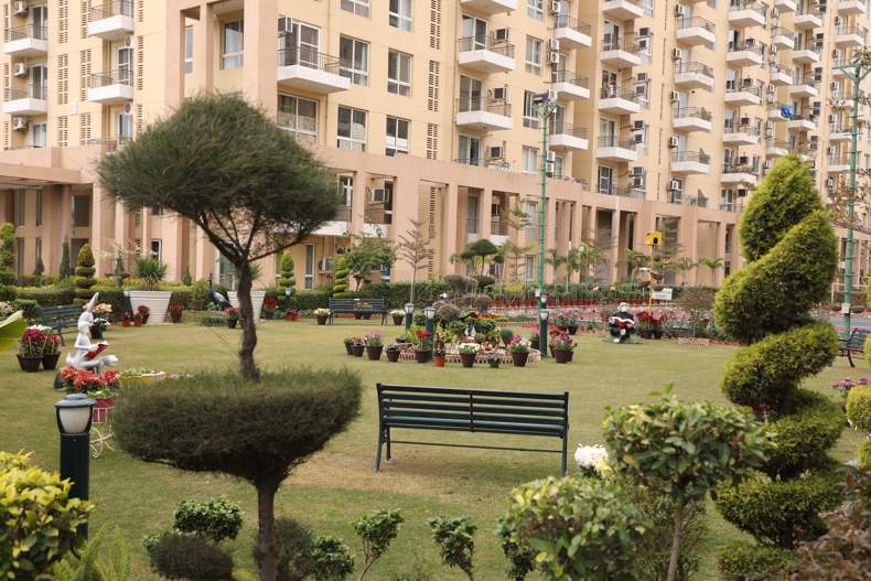  the views Landscape Garden and Tree Planting