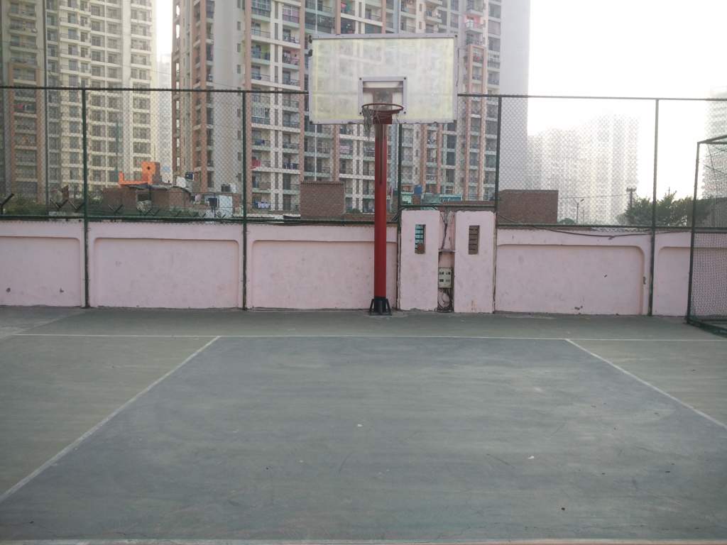 majestic Basketball Court