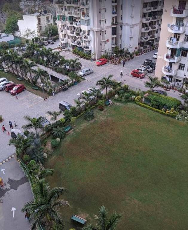  maple heights Landscape Garden and Tree Planting