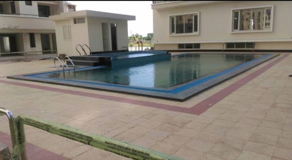  imperial-heights Swimming Pool