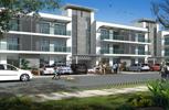 Cassia
