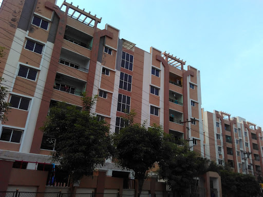  polygon Images for Project