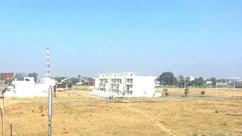  elite floors Elevation