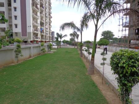  impressions 58 Others