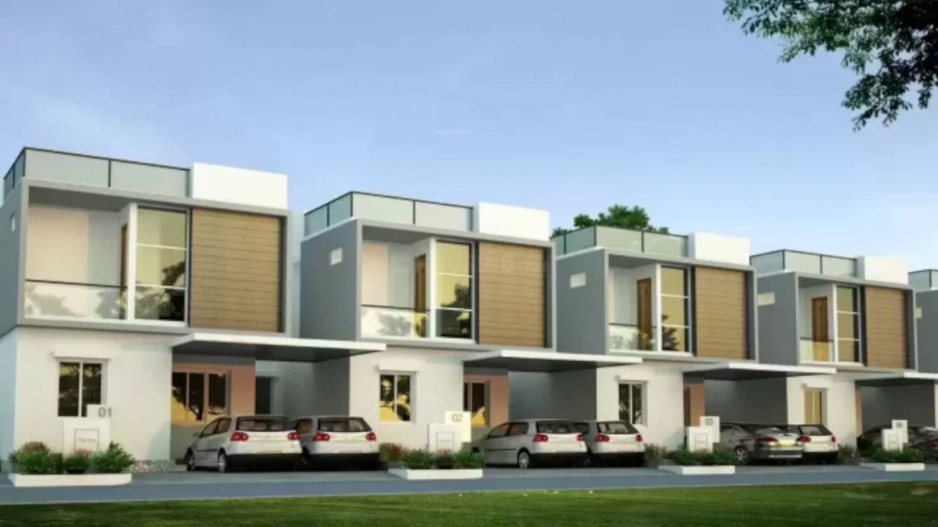 serene woods Elevation