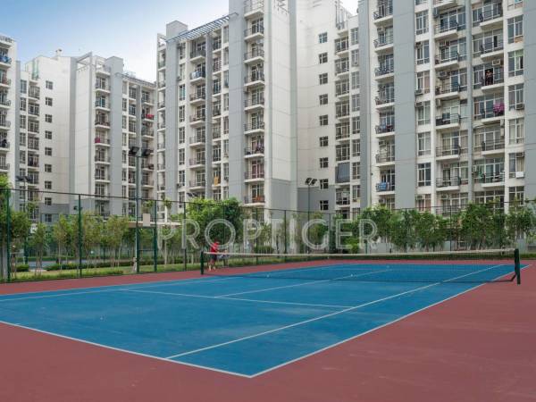 Images for Elevation of Omaxe Grand