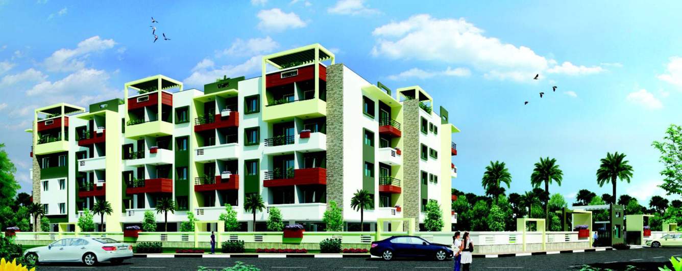 sunflower Images for Elevation of SLV Sunflower