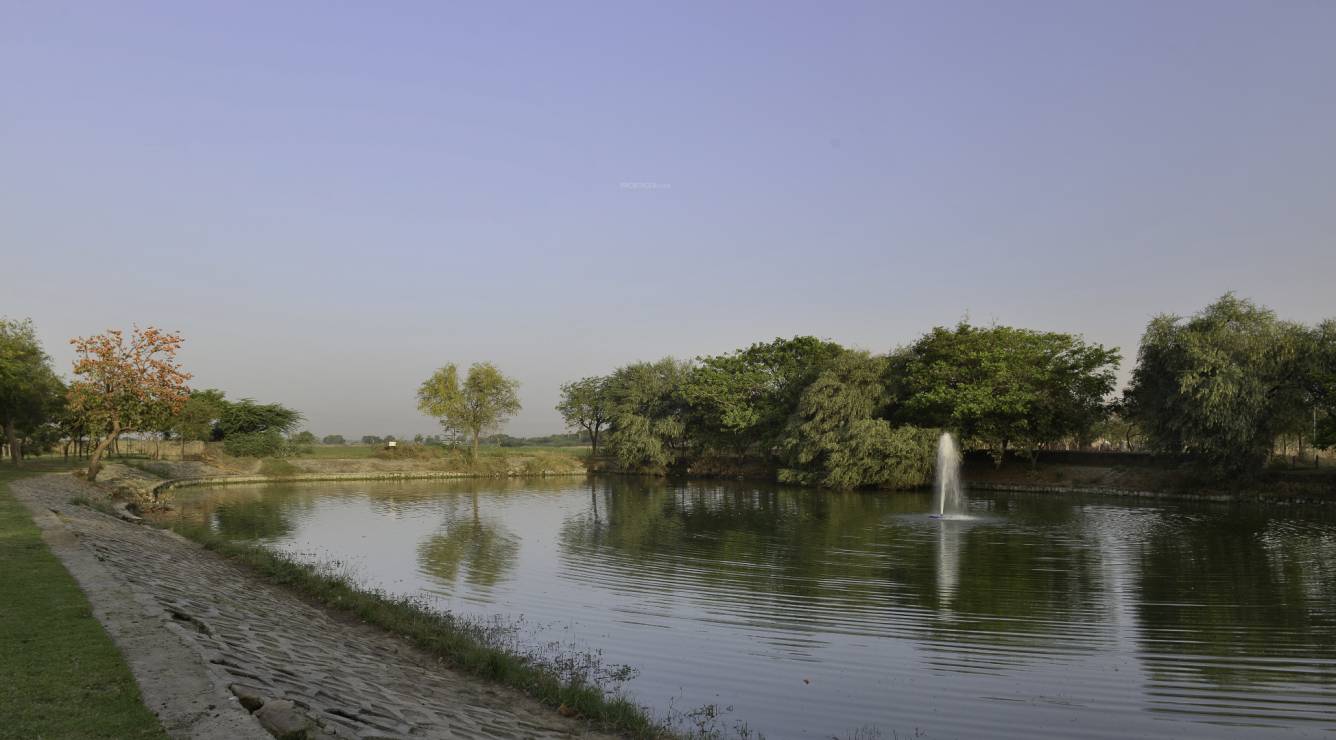 Images for Main Other of Synthesis Suramya Lifespace