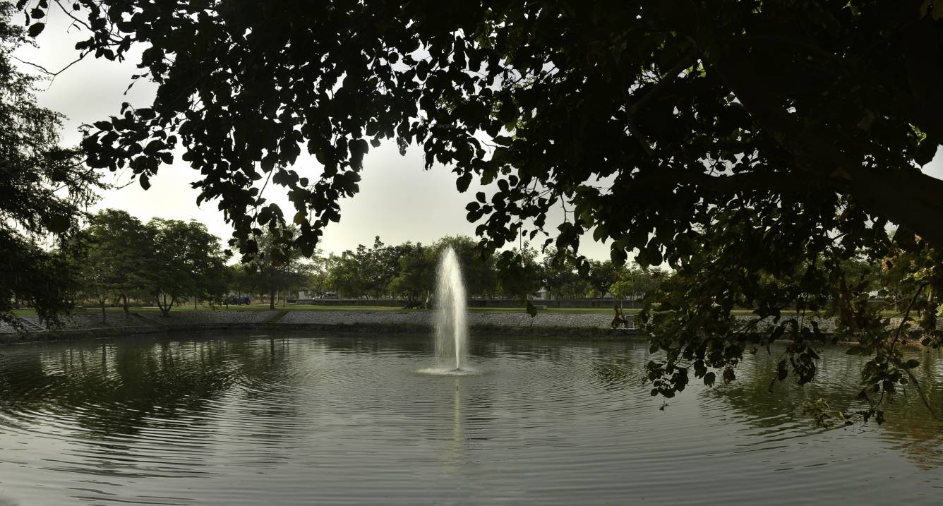 Images for Main Other of Synthesis Suramya Lifespace