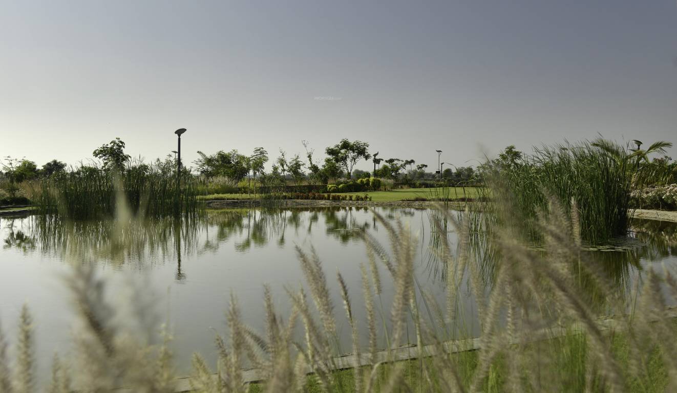 Images for Main Other of Synthesis Suramya Lifespace