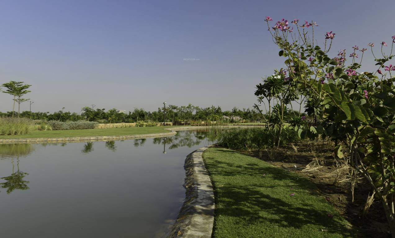 Images for Main Other of Synthesis Suramya Lifespace