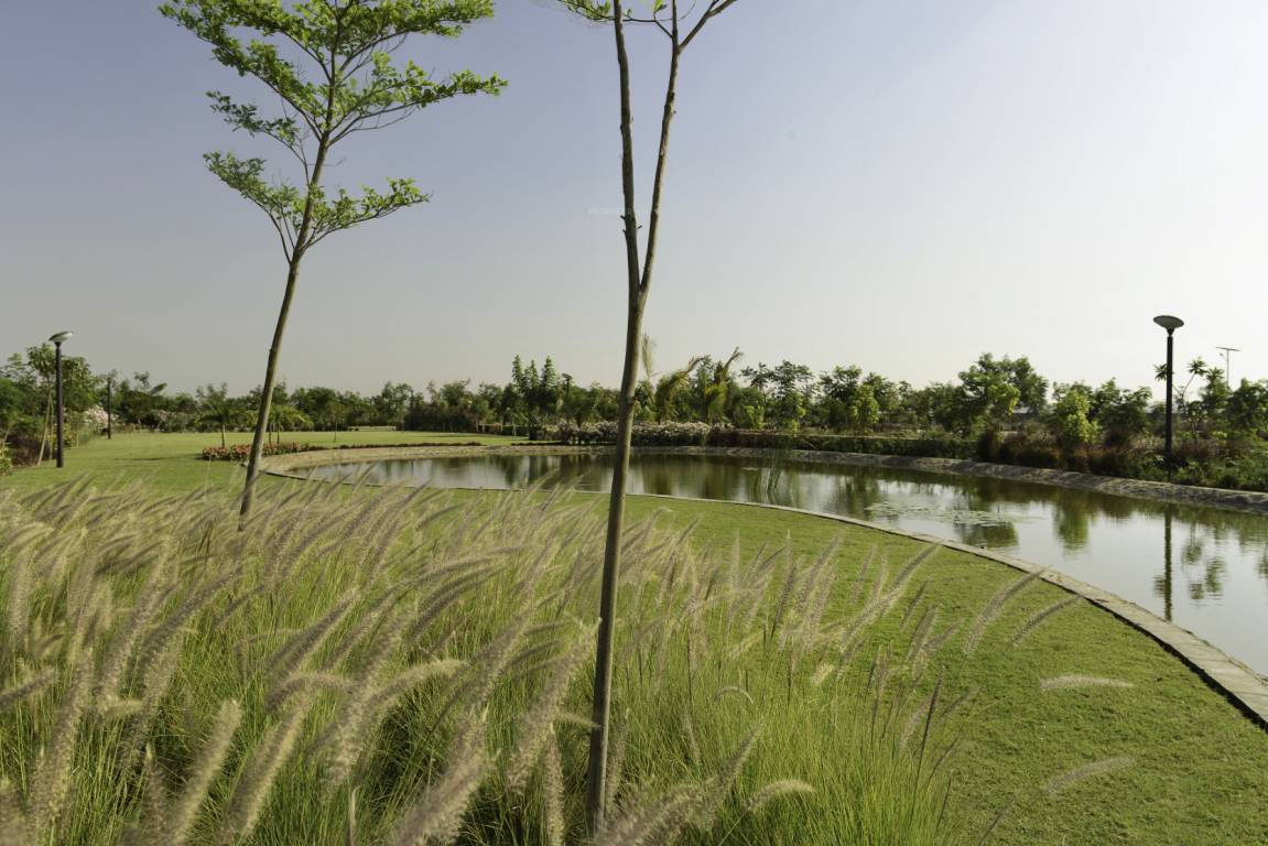 Images for Main Other of Synthesis Suramya Lifespace