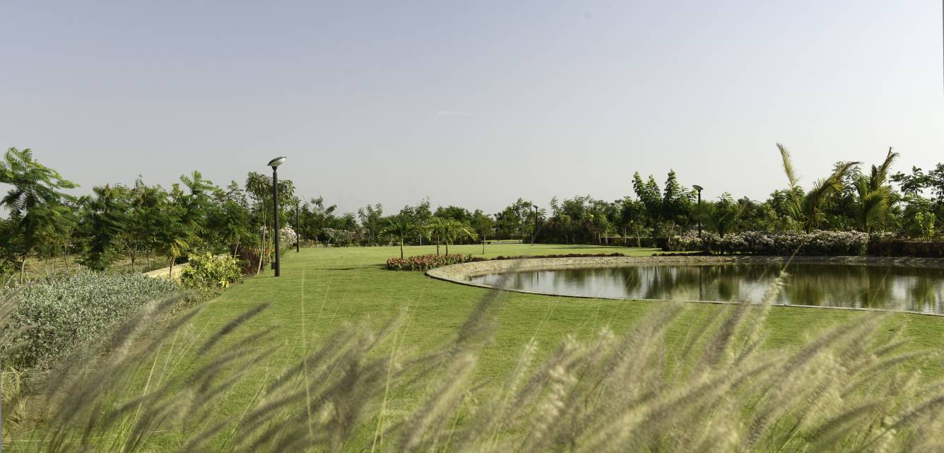 Images for Main Other of Synthesis Suramya Lifespace