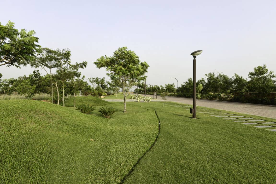 Images for Main Other of Synthesis Suramya Lifespace