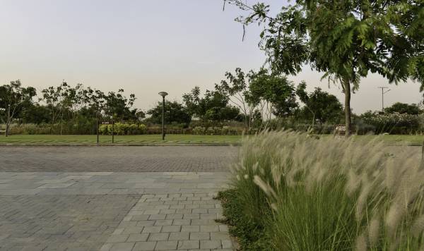 Images for Main Other of Synthesis Suramya Lifespace