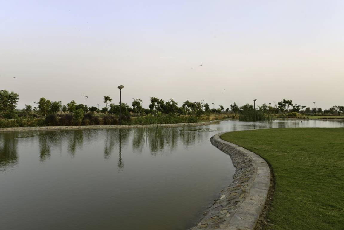 Images for Main Other of Synthesis Suramya Lifespace