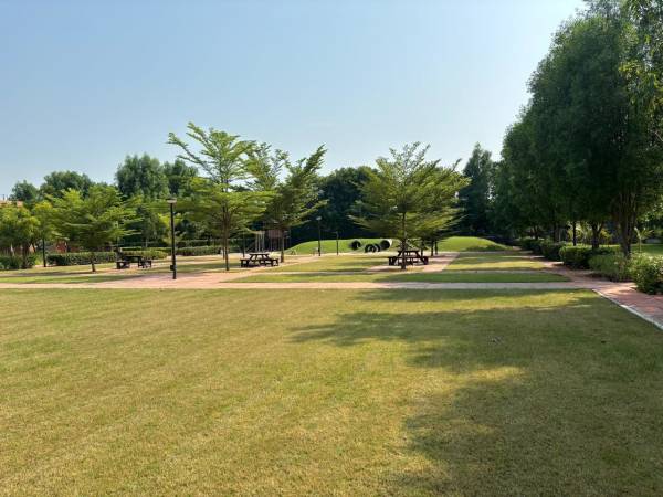  suramya-abode Others