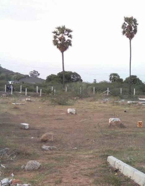 Elevation birch-court Elevation