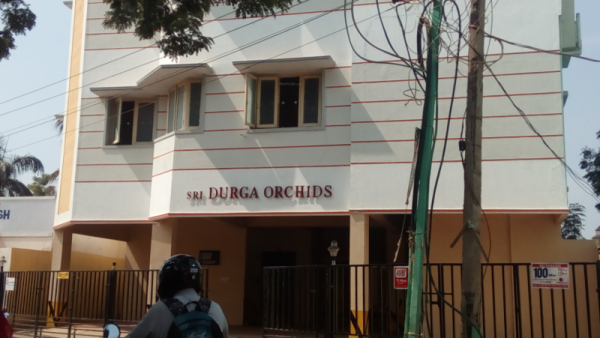 Elevation orchids Elevation