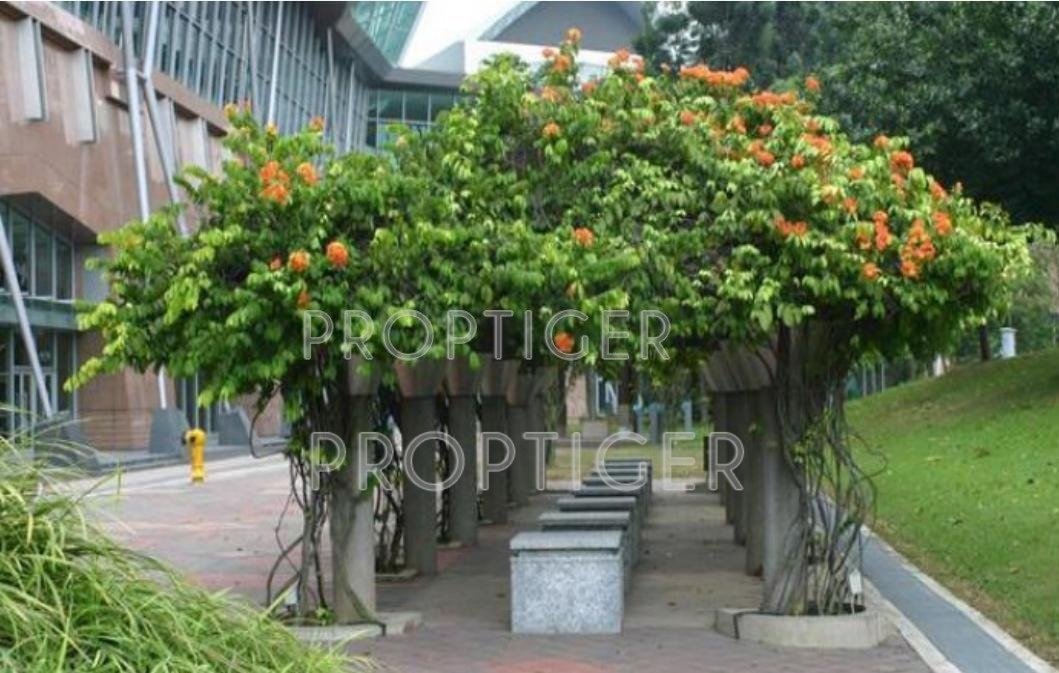 Images for Elevation of Geoworks 1000 Trees