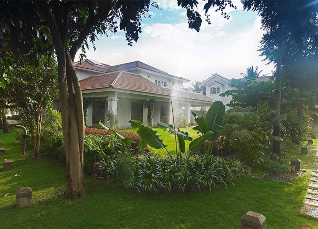 tech vista Elevation