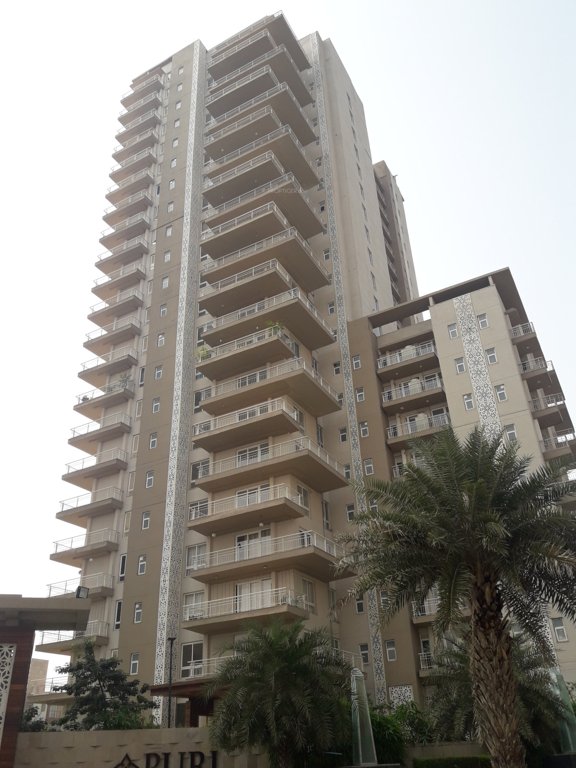  diplomatic greens Images for Project