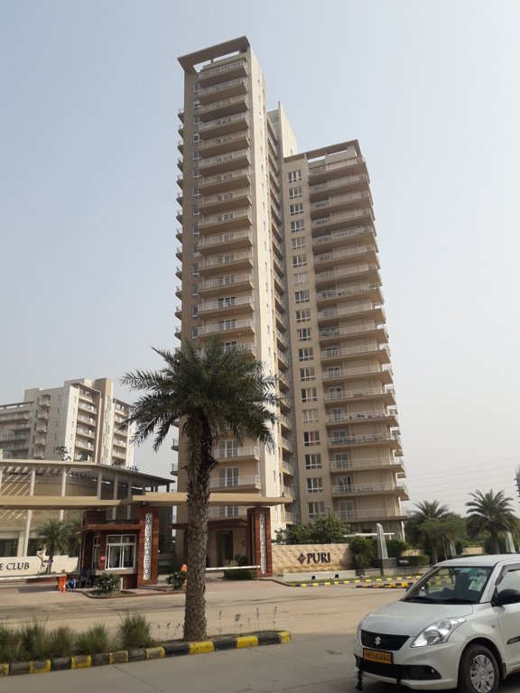  diplomatic greens Images for Project