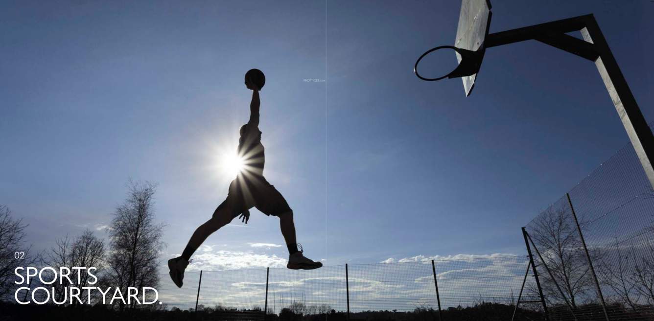 fussion Basketball Court