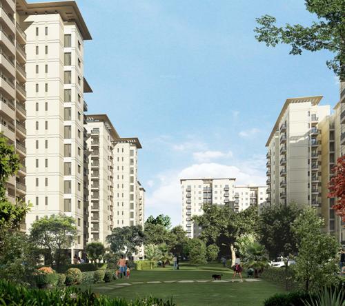 Images for Elevation of DLF Woodland Heights at My Town woodland-heights-at-my-town Images for Elevation of DLF Woodland Heights at My Town