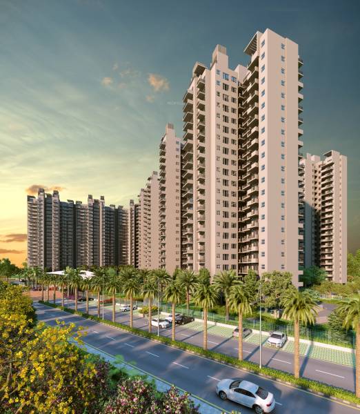 Images for Elevation of SS The Coralwood