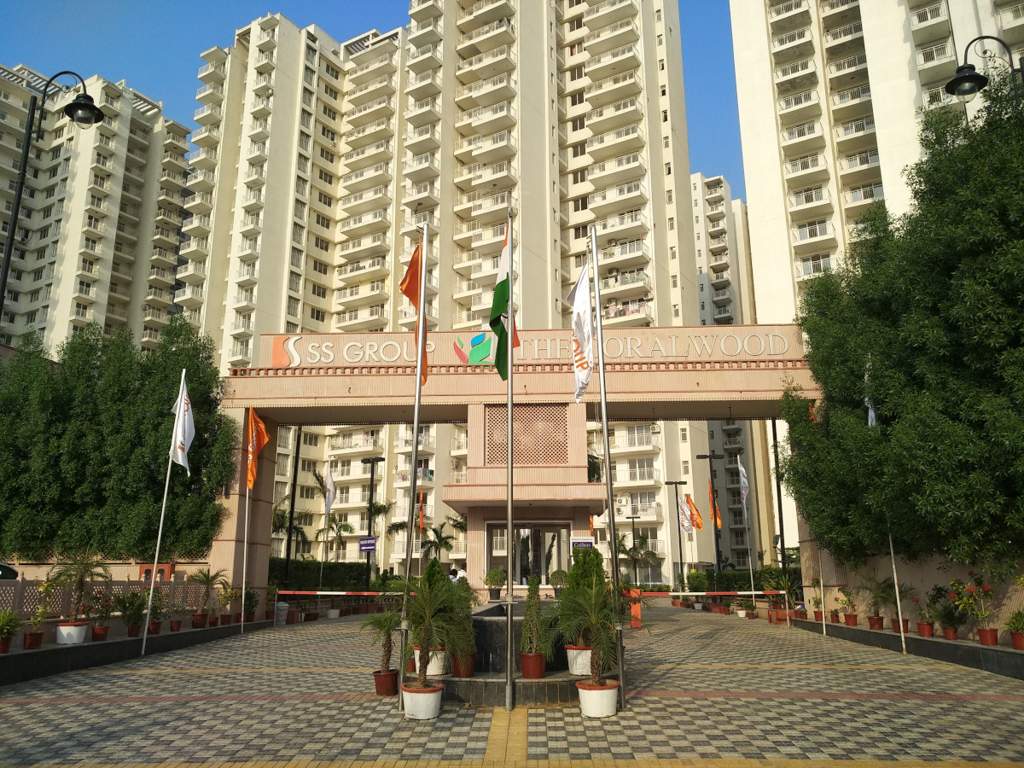  the coralwood Images for Project