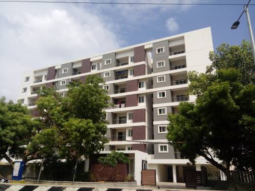 esta-the-one Elevation Elevation