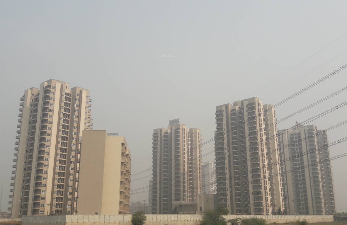 oyster grande Images for Project