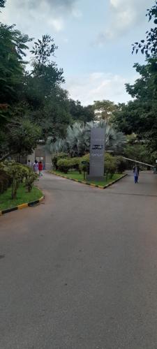  lifestyle-legacy Internal Roads & Footpaths