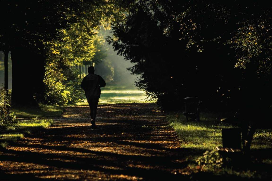 Images for Amenities of Emaar Imperial Gardens