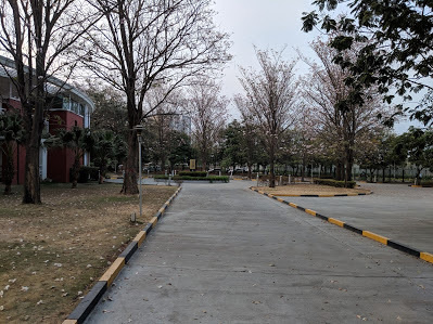  residency Internal Roads