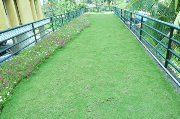 Images for Amenities of Mather Silver Lawns Phase 3 Images for Amenities of Mather Silver Lawns Phase 3