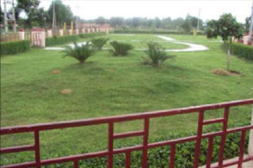 Landscape Garden and Tree Planting sushant-city-ii Landscape Garden and Tree Planting