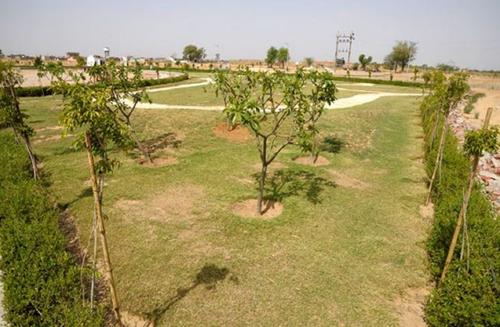 Landscape Garden and Tree Planting sushant-city-ii Landscape Garden and Tree Planting