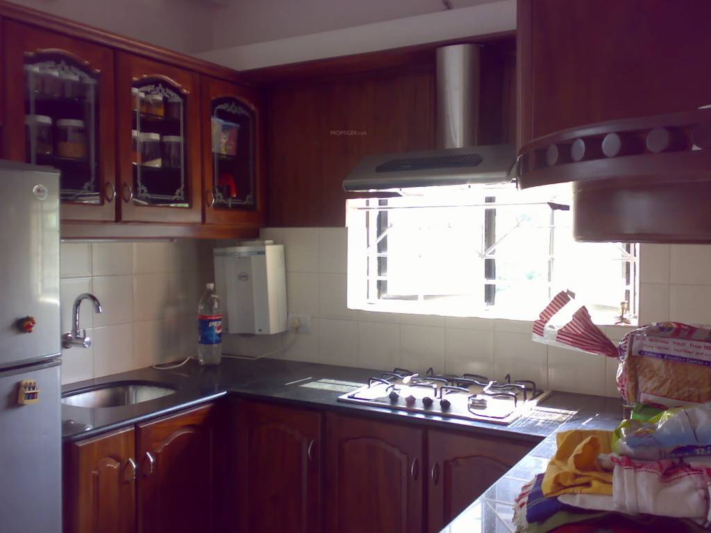 Images for Main Other of AC Pacific Rose