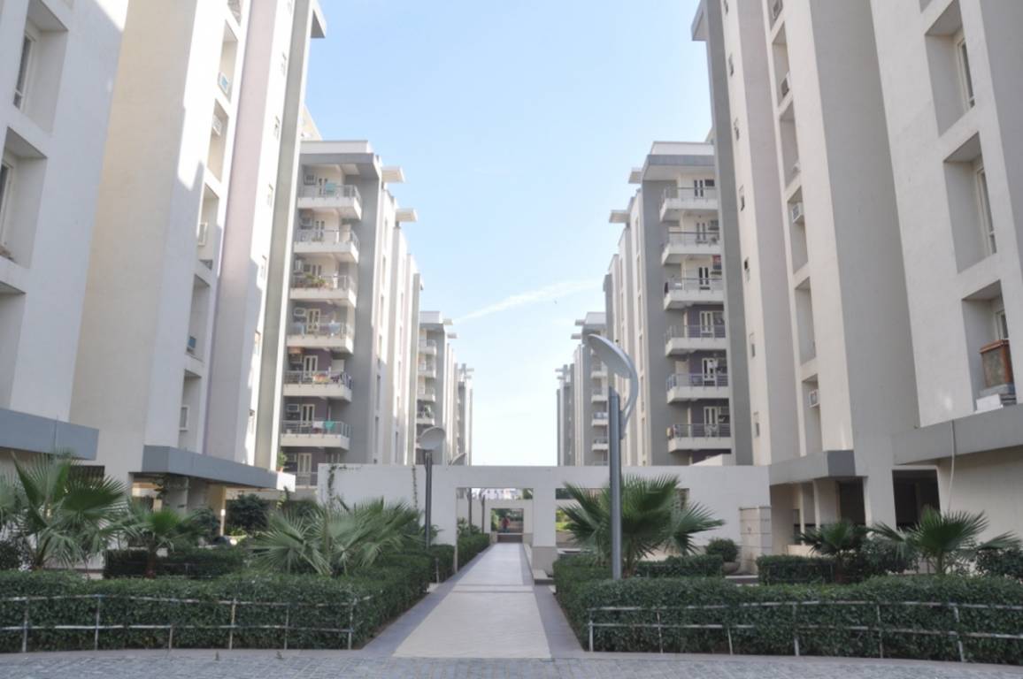 Images for Elevation of Mahima Mahima Iris