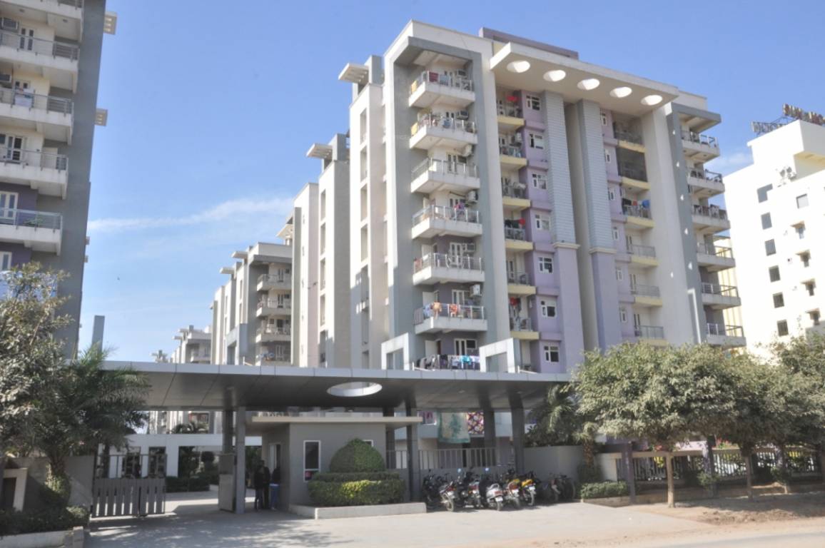 Images for Elevation of Mahima Mahima Iris