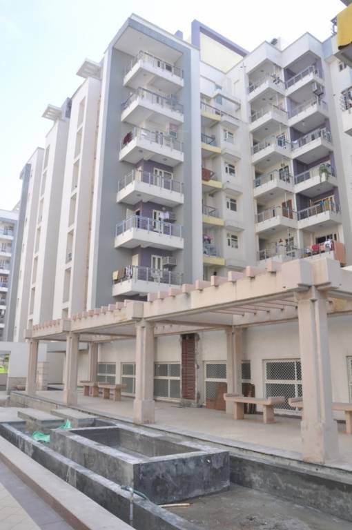 Images for Elevation of Mahima Mahima Iris