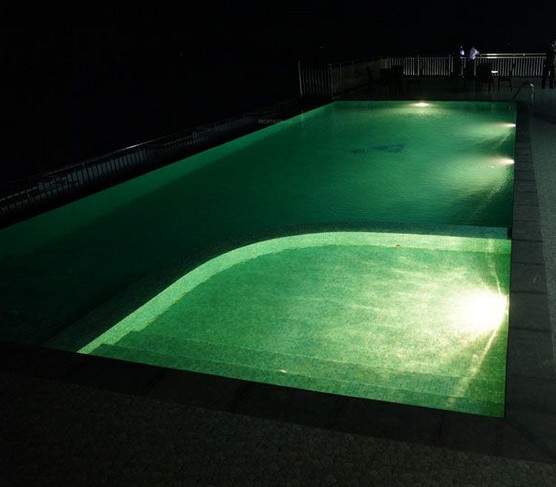  silver streak Others