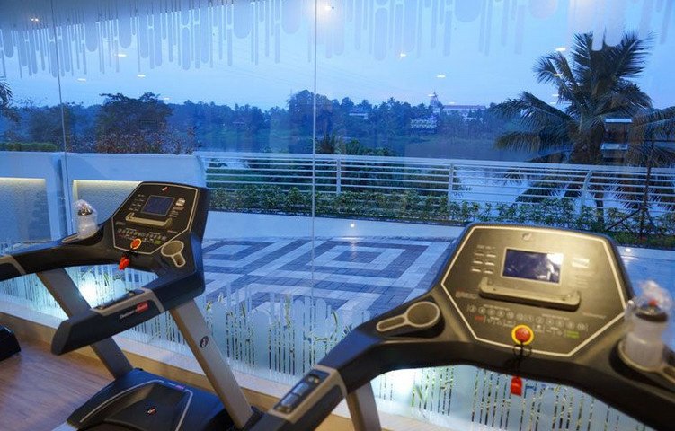  silver streak Others