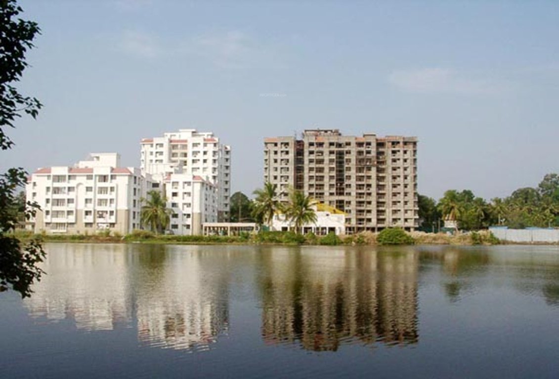 Images for Elevation of Skyline Tulip