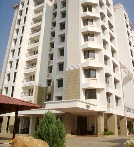 Images for Elevation of Skyline Tulip